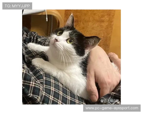 世界冠军与萌萌猫咪的甜蜜合照：温暖瞬间瞬间点亮你的心